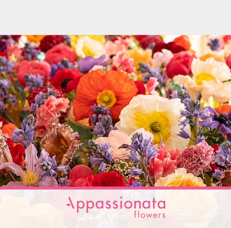 A vibrant and colourful arrangement of various flowers, including poppies, carnations, and lavender in shades of red, orange, pink, purple, yellow, and white.