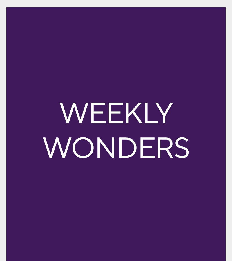 Weekly Wonders. Our limited time offers. White logo on purple background.